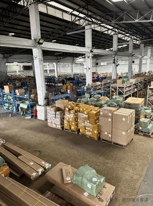 一站式物流解決方案 中國至新加坡低價海運、空運及貨物倉儲服務