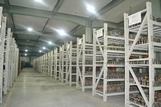 靈活倉儲新選擇 上海小倉庫30平起租，短租臨時倉儲服務全解析