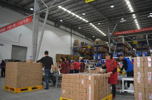 為何您的零售電商品牌亟需專業三方倉儲物流與貨物倉儲服務