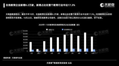 在線教育行業(yè)迅猛擴(kuò)張 截至十月新增8.2萬(wàn)家企業(yè)，占比達(dá)行業(yè)17%